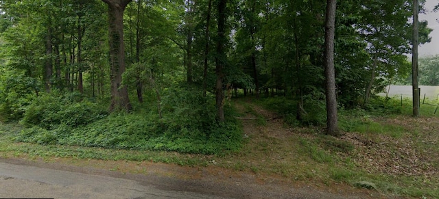 14765 Millard Rd, Three Rivers, MI 49093 - view of local wilderness
