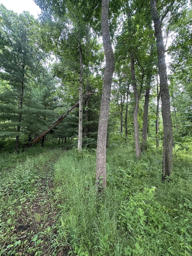 14765 Millard Rd, Three Rivers, MI 49093 - view of local wilderness