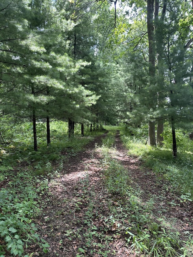 14765 Millard Rd, Three Rivers, MI 49093 - view of tree filled area