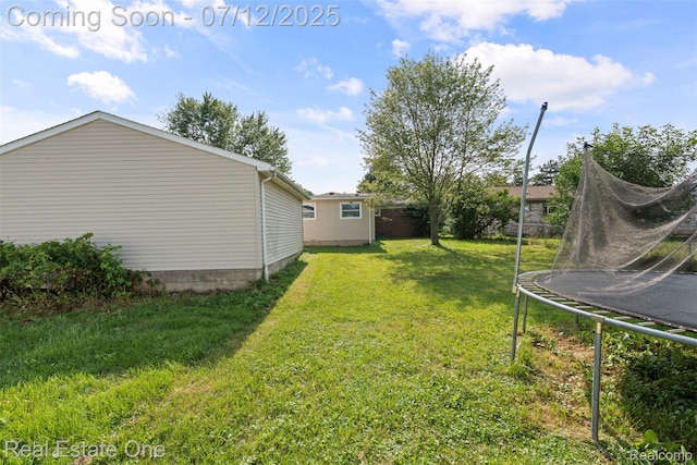 15679 Gulley St, Taylor, MI 48180 - view of green lawn featuring a trampoline