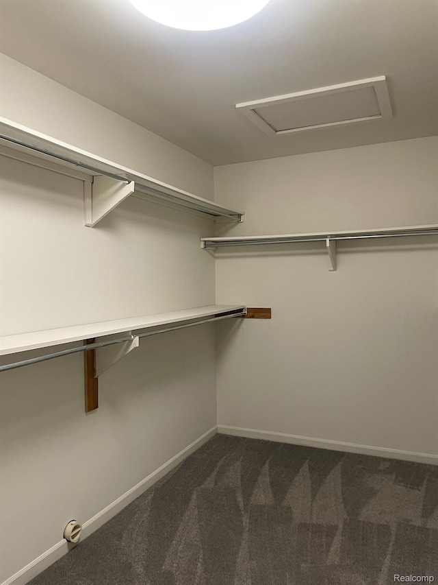 29494 Sylvan Ln Unit 6, Farmington Hills, MI 48334 - walk in closet with dark colored carpet and attic access