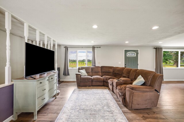 28644 Elm St, Dowagiac, MI 49047 - living area featuring wood finished floors, plenty of natural light, and recessed lighting