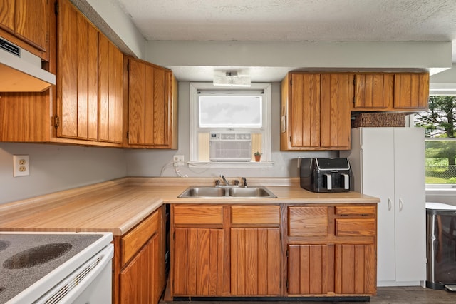 28644 Elm St, Dowagiac, MI 49047 - kitchen with extractor fan, light countertops, brown cabinets, and a textured ceiling