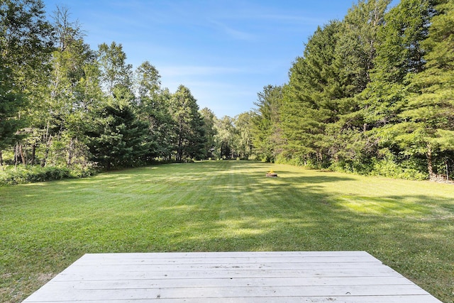8420 N Echo Valley Dr, Irons, MI 49644 - photo 22