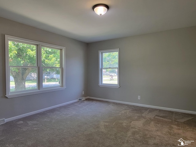 2844 1st St, Monroe, MI 48162 - spare room featuring baseboards and carpet floors