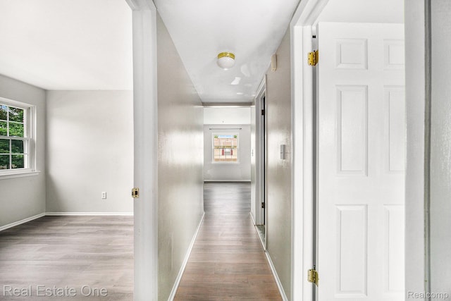 204 Princeton Dr, South Lyon, MI 48178 - hall featuring wood finished floors