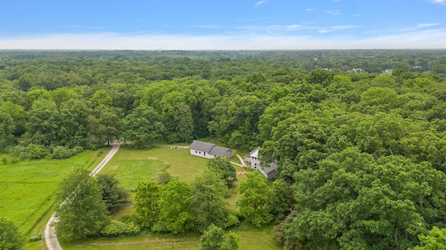 7227 Wheeler Rd, Whitmore Lake, MI 48189 - view from above of property featuring a forest