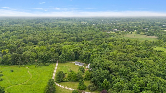 7227 Wheeler Rd, Whitmore Lake, MI 48189 - drone / aerial view of a forest