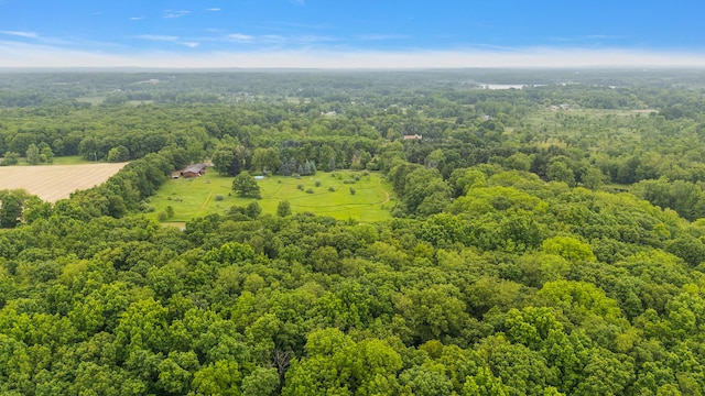7227 Wheeler Rd, Whitmore Lake, MI 48189 - aerial view of a forest