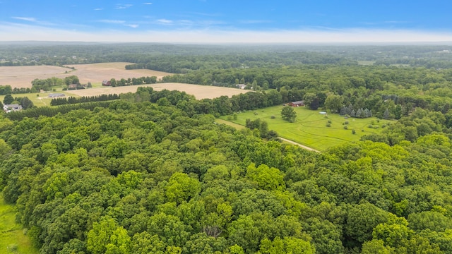 7227 Wheeler Rd, Whitmore Lake, MI 48189 - overview of rural landscape featuring a heavily wooded area
