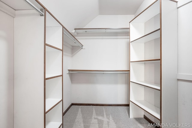 8608 Woodruff Dr SW, Byron Center, MI 49315 - walk in closet with carpet and lofted ceiling