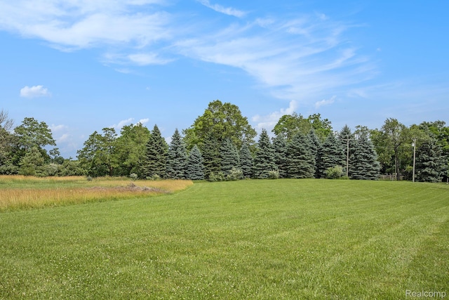 3101 Delano Rd, Oxford, MI 48371 - photo 58
