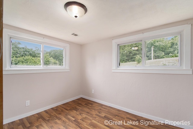 6047 Belding Rd, Belding, MI 48809 - spare room with plenty of natural light and wood finished floors