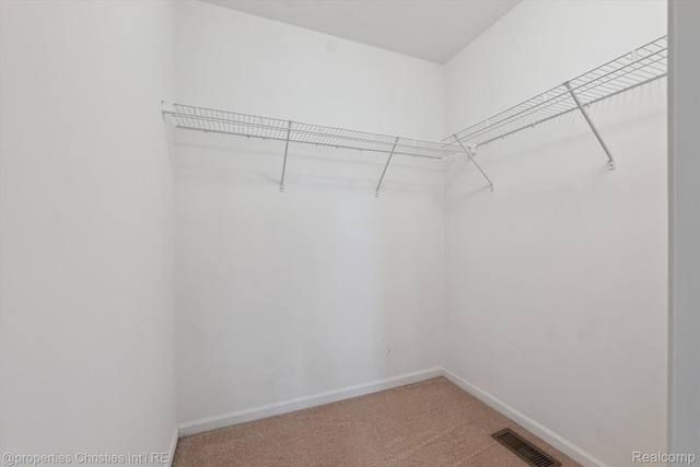 1051 N Sherman Dr Unit B19, Royal Oak, MI 48067 - spacious closet featuring light colored carpet