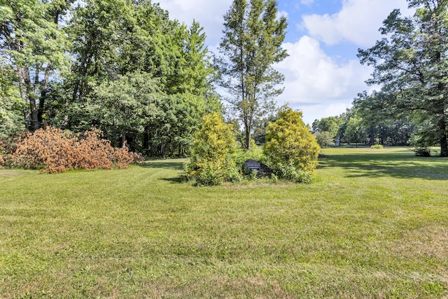 2128 Scenic Hills Dr, Jackson, MI 49201 - photo 59