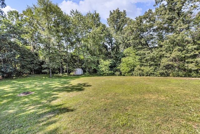 2128 Scenic Hills Dr, Jackson, MI 49201 - photo 55