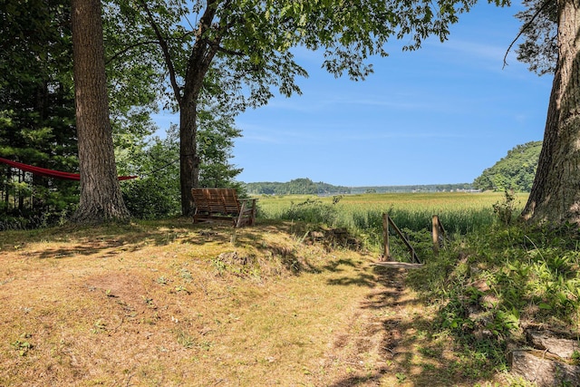 6706 E Carrigan Dr, Newaygo, MI 49337 - view of yard with a view of countryside