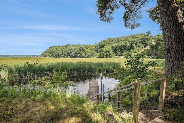 6706 E Carrigan Dr, Newaygo, MI 49337 - water view with a boat dock