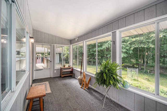 6706 E Carrigan Dr, Newaygo, MI 49337 - sunroom featuring plenty of natural light and vaulted ceiling