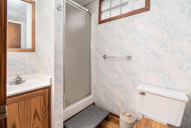 6706 E Carrigan Dr, Newaygo, MI 49337 - full bathroom featuring wallpapered walls, a shower stall, vanity, and wood finished floors