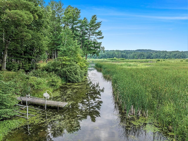 6706 E Carrigan Dr, Newaygo, MI 49337 - water view featuring a dock