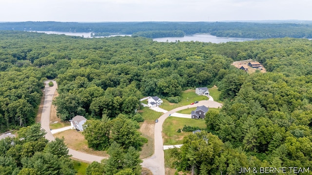 1692 Ryan Woods Ct, Allegan, MI 49010 - photo 60