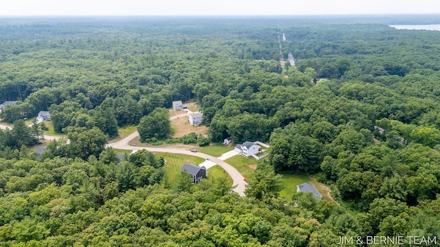 1692 Ryan Woods Ct, Allegan, MI 49010 - photo 67