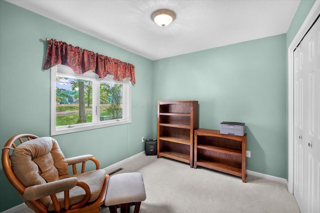 9650 Killdeer Ct, Canadian Lakes, MI 49346 - sitting room with carpet floors and a textured ceiling