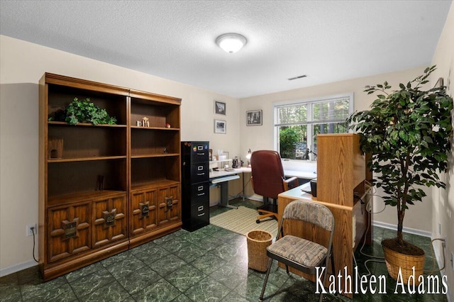9650 Killdeer Ct, Canadian Lakes, MI 49346 - office with a textured ceiling
