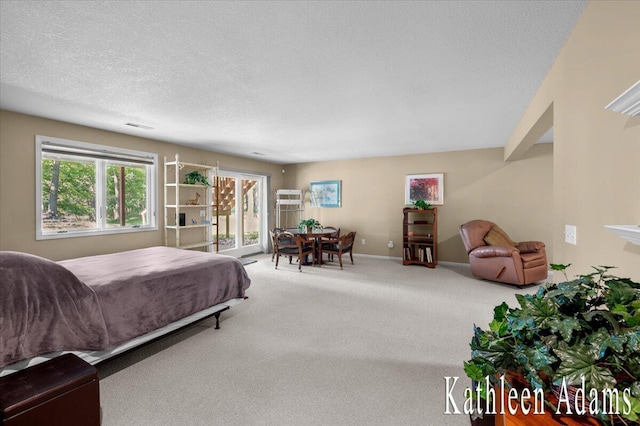 9650 Killdeer Ct, Canadian Lakes, MI 49346 - carpeted bedroom featuring access to outside and a textured ceiling