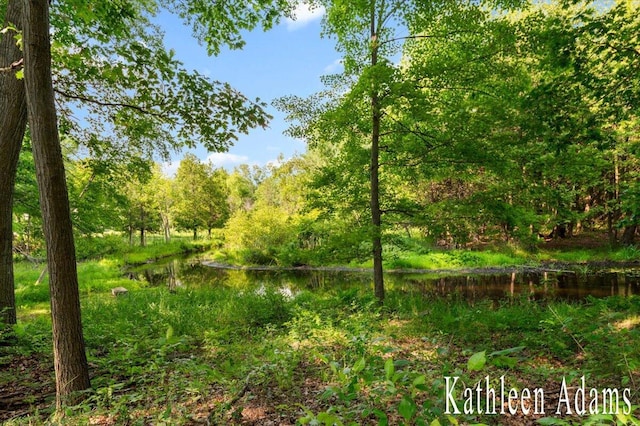 9650 Killdeer Ct, Canadian Lakes, MI 49346 - view of woods featuring a water view