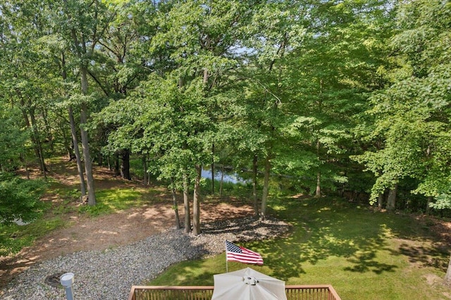 9650 Killdeer Ct, Canadian Lakes, MI 49346 - view of green lawn with a water view