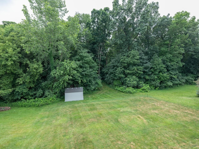3740 Pristine Ave, Kalamazoo, MI 49048 - view of green lawn featuring a storage shed
