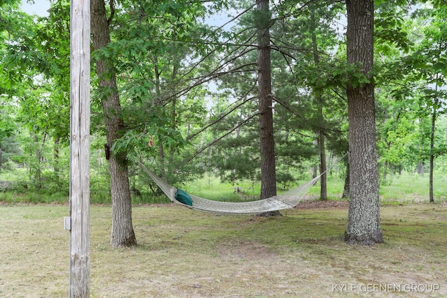 9228 S Star Lake Dr, Baldwin, MI 49304 - view of yard