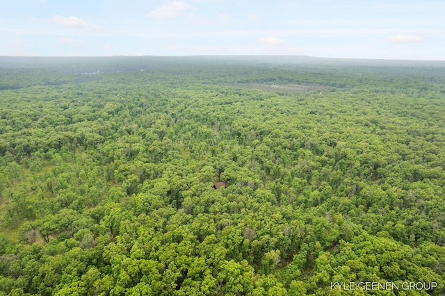 9210 S Star Lake Dr, Baldwin, MI 49304 - aerial view of a heavily wooded area