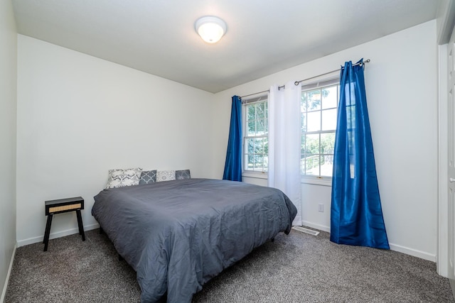 6209-6211 Hipps Hollow Rd, Eau Claire, MI 49111 - photo 38