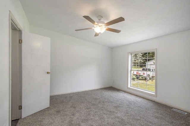 13114 Brockway Blvd, Vicksburg, MI 49097 - spare room with carpet floors and ceiling fan