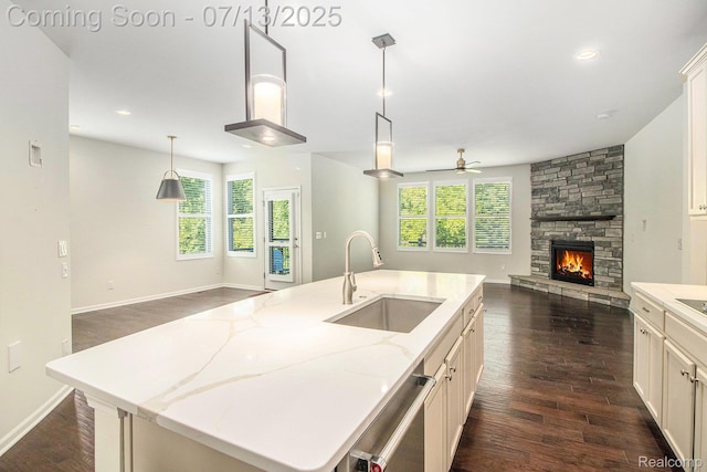 4104 Ashdale Way, Clarkston, MI 48348 - kitchen featuring open floor plan, stainless steel dishwasher, dark wood-style floors, a fireplace, and plenty of natural light