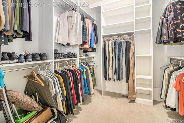 4104 Ashdale Way, Clarkston, MI 48348 - walk in closet with carpet floors