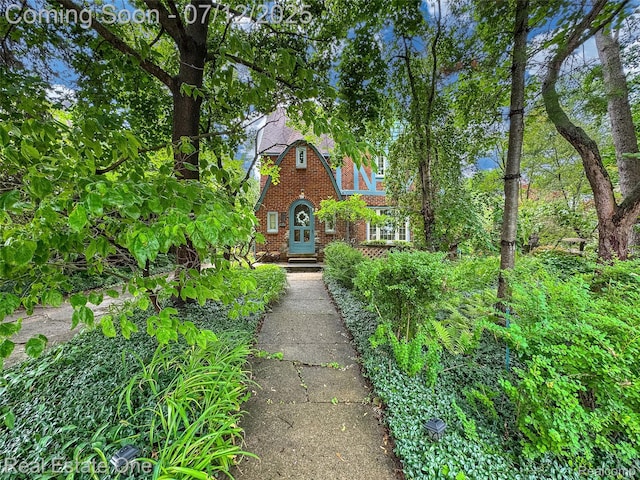 115 Illinois Ave, Pontiac, MI 48341 - tudor-style house featuring brick siding