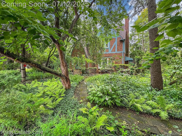 115 Illinois Ave, Pontiac, MI 48341 - view of yard