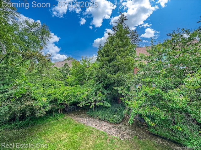 115 Illinois Ave, Pontiac, MI 48341 - view of yard