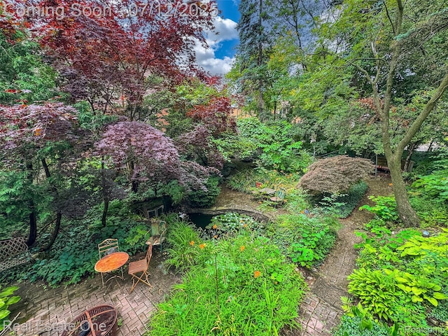 115 Illinois Ave, Pontiac, MI 48341 - view of yard