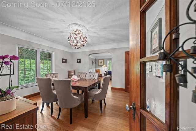 115 Illinois Ave, Pontiac, MI 48341 - dining space featuring arched walkways, light wood finished floors, a chandelier, and a textured ceiling