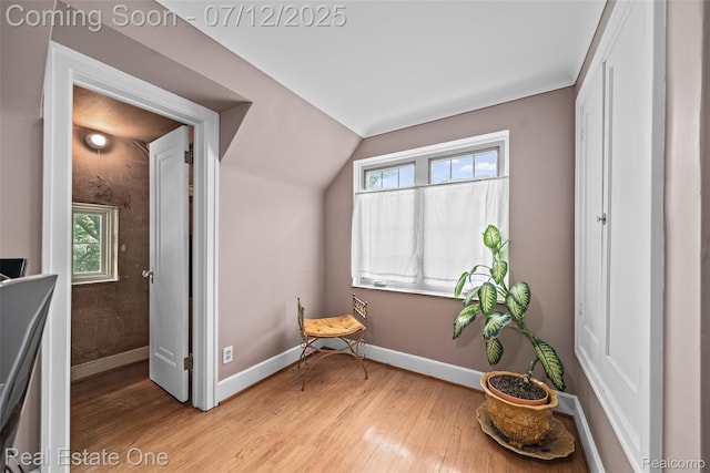 115 Illinois Ave, Pontiac, MI 48341 - unfurnished room with light wood-type flooring, plenty of natural light, and vaulted ceiling