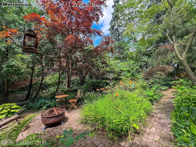 115 Illinois Ave, Pontiac, MI 48341 - view of yard with a fire pit and a patio