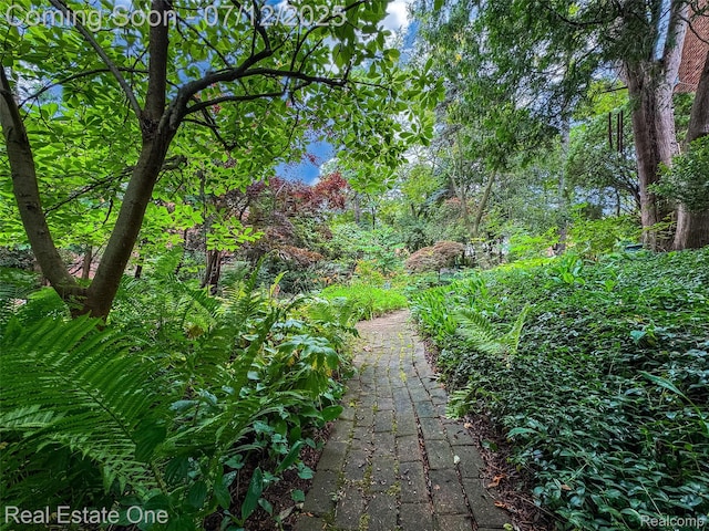 115 Illinois Ave, Pontiac, MI 48341 - view of yard