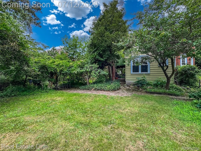 115 Illinois Ave, Pontiac, MI 48341 - view of grassy yard
