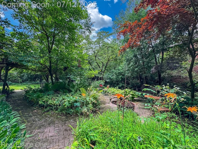 115 Illinois Ave, Pontiac, MI 48341 - view of yard