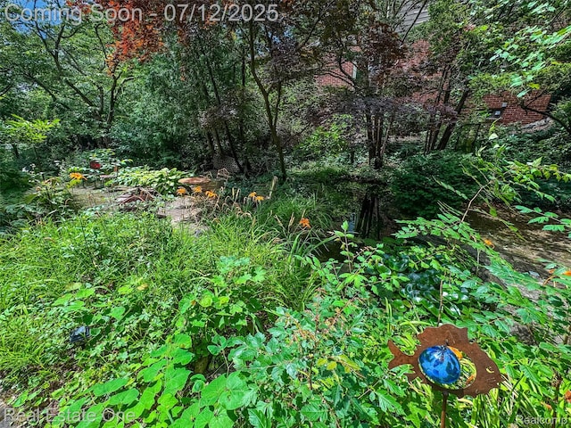 115 Illinois Ave, Pontiac, MI 48341 - view of nature